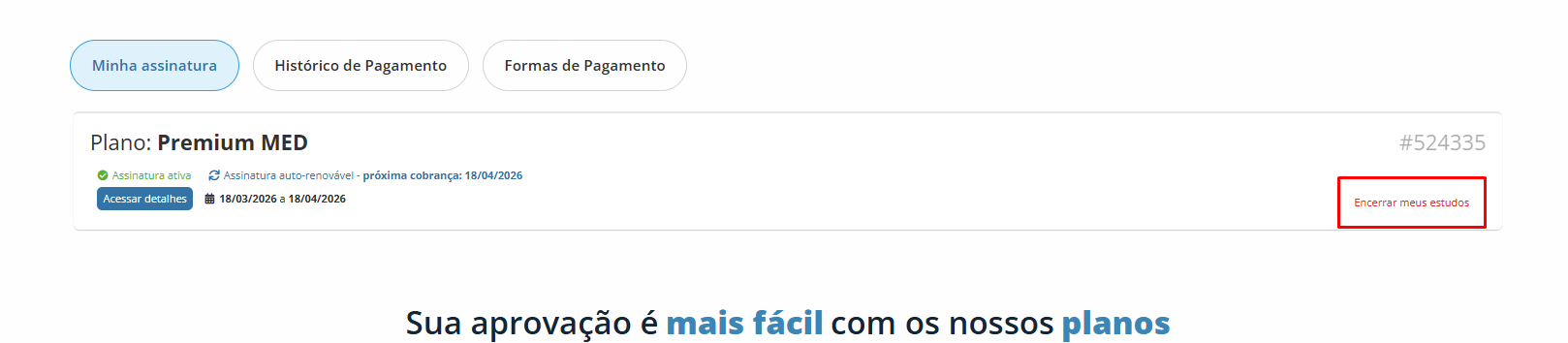 pausar ass 1.png